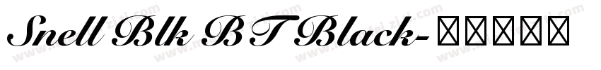 Snell Blk BT Black字体转换